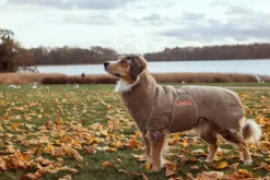 Siccaro Solution kuivausloimi, Sand 40 (M)