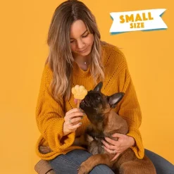 Smoofl Dog Ice Form muotit koiran jäätelölle, S