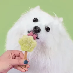 Smoofl Dog Ice Form muotit koiran jäätelölle, S