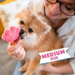 Smoofl Dog Ice Form muotit koiran jäätelölle, M