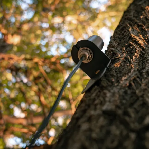 Spypoint Long Range Antenna riistakameran antenni