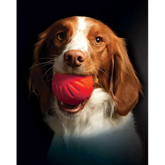 Starmark Foam Ball Bacon 9 cm