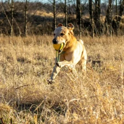 Starmark Foam Boll med Rep M