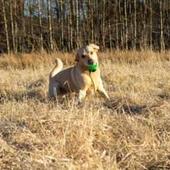 Starmark Funball med Rep Grön L