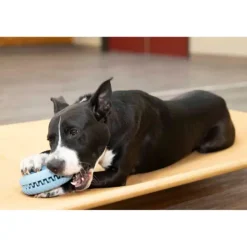 Starmark Snapper Trapper Tire L