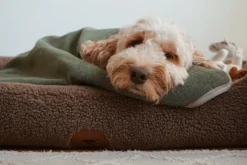 Swaggin Tails Drömmig koiranpeti, M, vaaleanharmaa