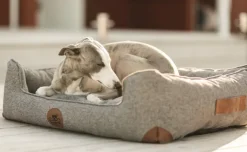 Swaggin Tails koiranpeti Memory Foam -vaahdolla XL, harmaa