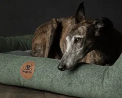 Swaggin Tails koiranpeti Memory Foam -vaahdolla XL, harmaa