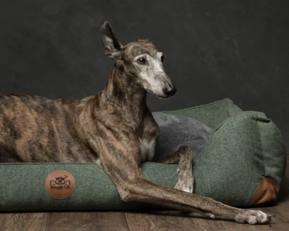 Swaggin Tails koiranpeti Memory Foam -vaahdolla XL