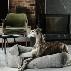 Swaggin Tails Mysig koiran peti, M, tummanvihreä