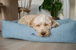 Swaggin Tails Mysig koiran peti, M, tummanvihreä