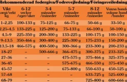 Taste of the Wild High Prairie Puppy Bison koiranruoka pennuille 12,2 kg