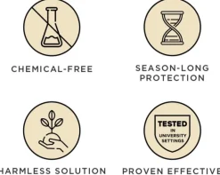 Tickless PET punkkikarkotin