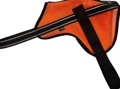 Tracker Aira koiraliivi