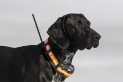 Tracker Artemis EASY -koiratutka