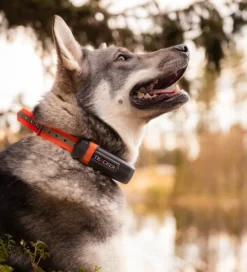 Tracker Luna koiratutka