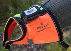 Tracker/Pointer koiravaljas