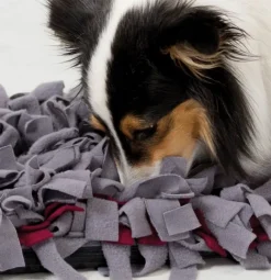 Trixie Activity Sniffing Carpet -aktivointilelu 50 x 34 cm