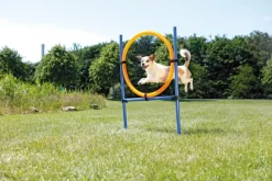 Trixie Agility Hyppyrengas 78 x 65 x 115 cm