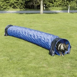 TRIXIE Agility -putki, 5 m