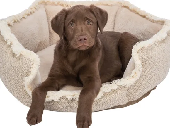 Trixie Boho koiranpeti 65 × 65 cm, beige