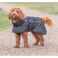 Trixie Brizon Winter Coat koiran talvitakki, 55 cm, Black