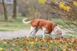 Trixie Citystyle Dublin Rain Coat koiran sadetakki, 50-55 cm, Rust