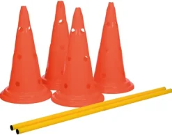 Trixie Dog Activity -esteet, 30 x 50 cm