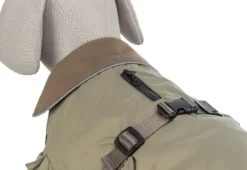 Trixie Hermy 2 in 1 Dachshund koiran takki, 28 cm, Olive Green