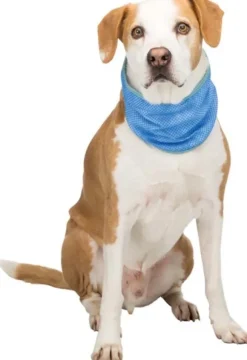 Trixie Jäähdytyshuivi PVA XL 46-56 cm