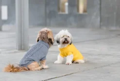 Trixie Kenton Pullover koiran villapaita, 55-60 cm, harmaa