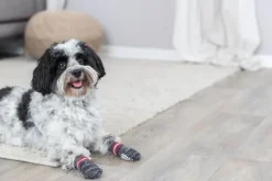 Trixie -koirantossut liukuesteillä, XS-S, harmaat, 2 kpl