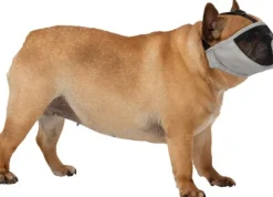 Trixie kuonokoppa lyhytkuonoisille koirille, S