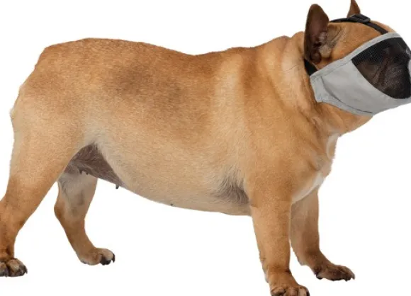 Trixie kuonokoppa lyhytkuonoisille koirille, S