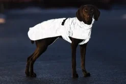 Trixie Lunas koiran heijastava sadetakki, 50–62 cm