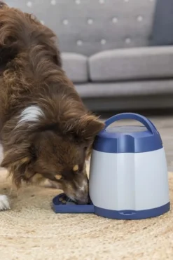 Trixie Memory Trainer 2.0 -aktivointilelu