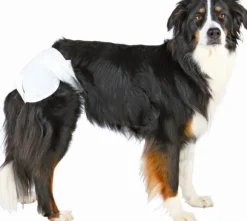 Trixie narttukoirien vaipat, S-M 28-40 cm, 12kpl