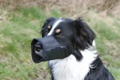 Trixie -säädettävä kuonokoppa, XS/S: 16 cm