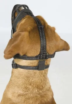 Trixie -silikoninen kuonokoppa L