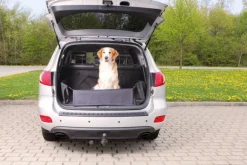 Trixie -tavaratilan suojus puskurisuojalla, 164 x 125 cm