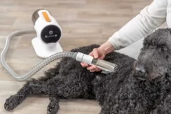 Trixie trimmaussetti, 2L 600W