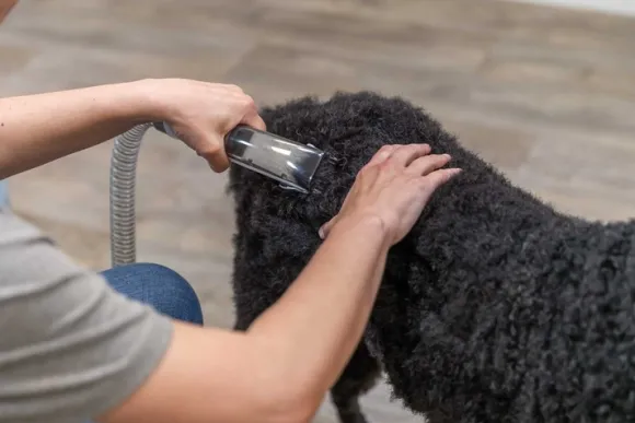 Trixie trimmaussetti, 2L 600W