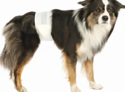 Trixie uroskoirien vaipat, M-L 46-60 cm, 12kpl