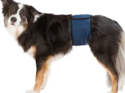 Trixie urosvyö, L - XL, tummansininen