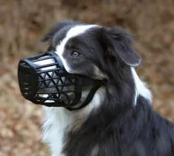 Trixie-kuonokoppa, XL