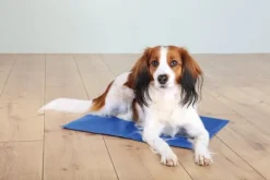 Trixie-viilennysalusta, 90 x 50cm