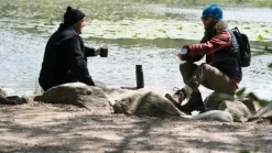 Vildmark Classic termospullo, 1L, hopea