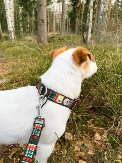 Woolly Wolf Collar koiran kaulapanta, 25 - 35 cm, Woodland
