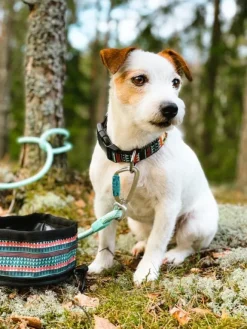 Woolly Wolf Collar koiran kaulapanta, 18 - 25 cm, Woodland