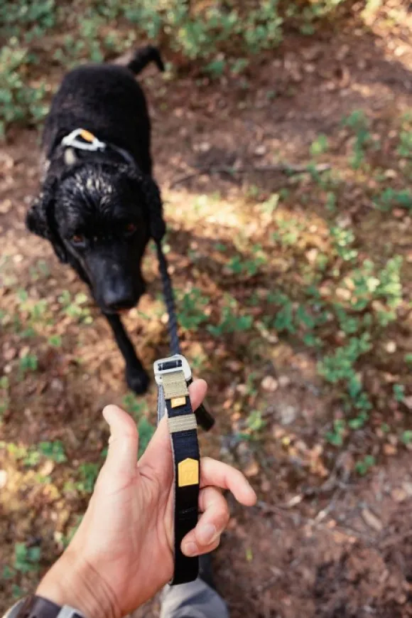 Woolly Wolf Roam Adjustable Leash monitoimihihna, musta